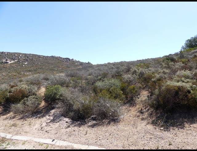 LAND FOR SALE IN BLUEBERRY HILL